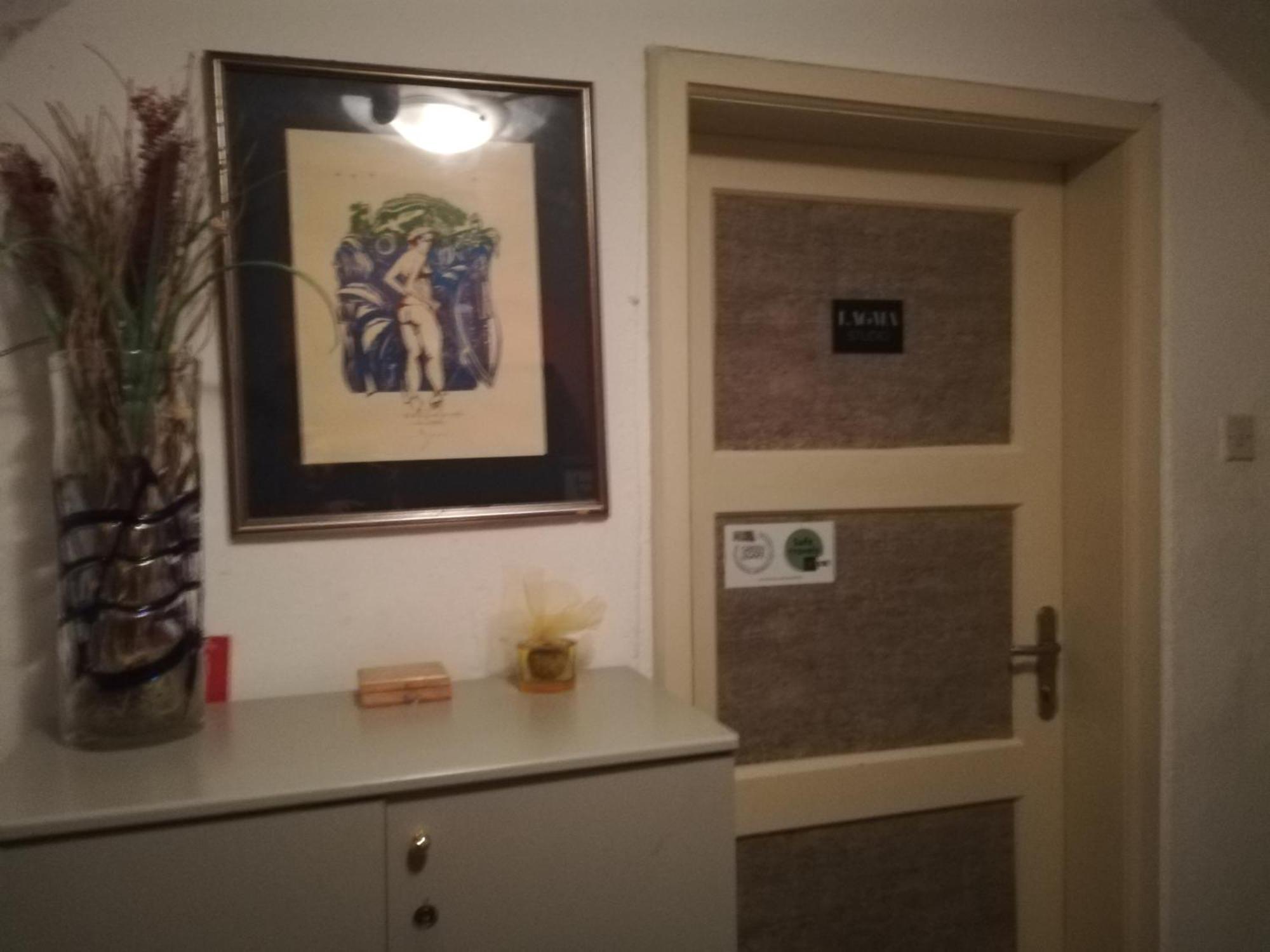Haus Lagma Studio ゴレンスカ地方 エクステリア 写真